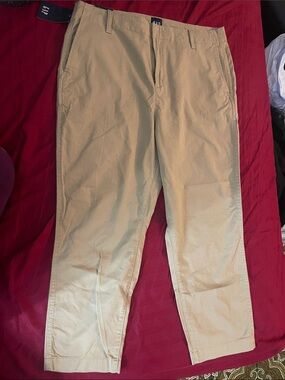 GAP Women’s Tan Pants